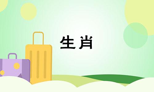 狗年出生的女孩如何成为一个积极向上的男人