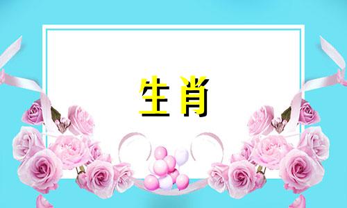 爱犬女遇到情感危机该怎么办