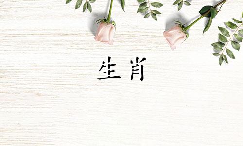 2019年狗狗的好运是什么