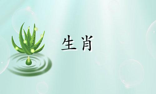 狗女孩厌倦了男人的行为