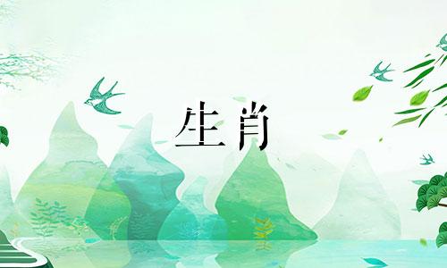 2019年,属狗的人如何运势?