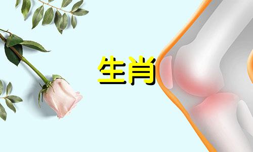 爱狗的女孩如何看待保守的男人