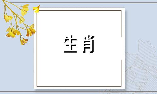 1982年一只狗的生活是怎样的?狗会在1982年离婚吗?
