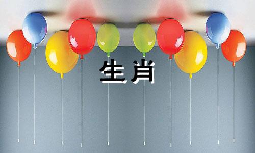 什么样的狗最适合养狗?什么样的狗最适合养狗?