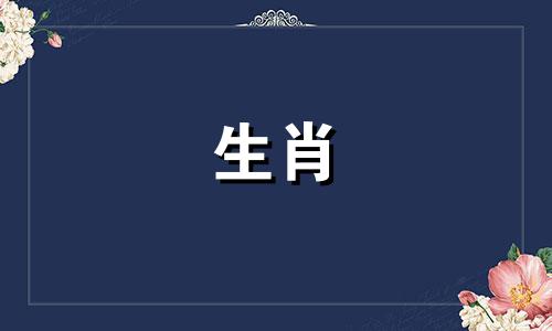 狗婚今年2019狗婚意大利月