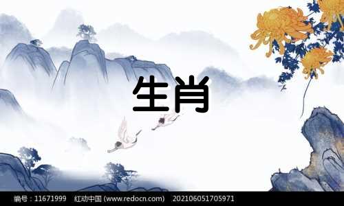 李俊明狗狗2021年运势预测