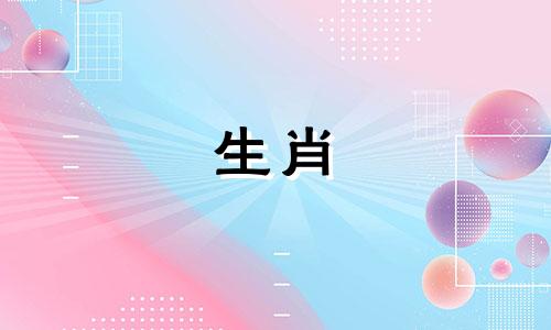 狗狗吵架时最讨厌什么