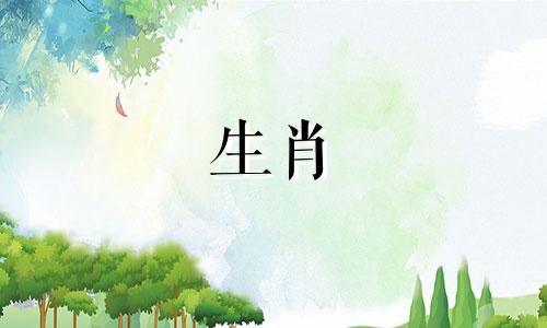 猪和属虎能和睦相处吗?