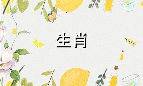 麦玲玲2021是狗跑完整版