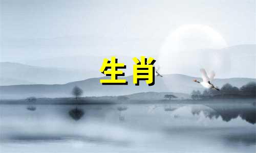 狗在婚前如何看到他们的结婚对象