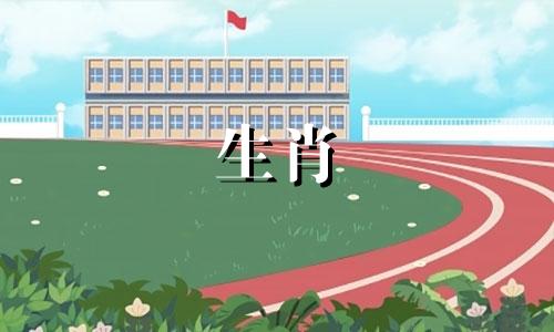 是狗男和属龙女的婚姻吗?