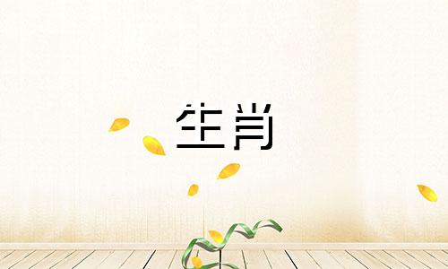 养狗的女孩不能接受婚前性行为的原因