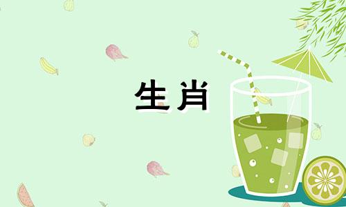 是狗男和鸡女的婚姻吗?