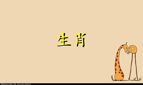 生肖狗人生财贵人狗贵人是什么生肖
