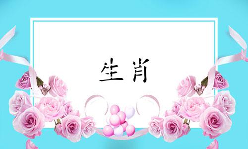 爱狗人士最可爱的地方是什么?