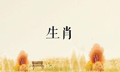 嫉妒的狗想要分手的标志