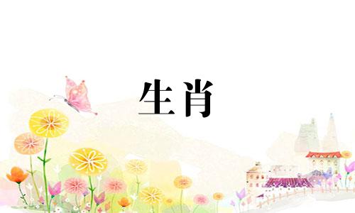 狗的寿命有多长?狗的灾难年?