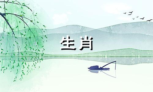 狗狗的幸运词幸运数字和幸运颜色