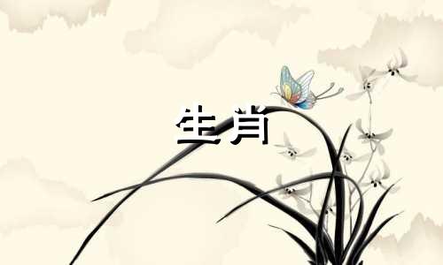 养狗的女孩离婚后会怎么样