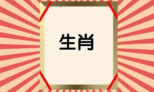 让爱犬迷上你的小窍门