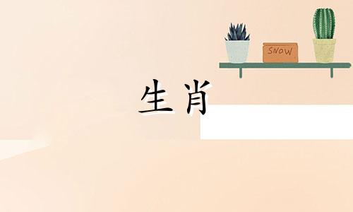 1970年，一个48岁以后的狗人的命运是什么?