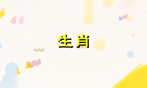 当一只狗因为爱一个人而情不自禁的时候,是一种怎样的体验?