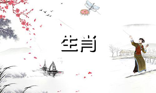 2020年生肖犬年度行程分析