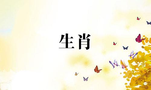 一个兔子女人和一个马男人?