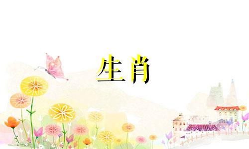 一个兔子女人和一个属虎男人?