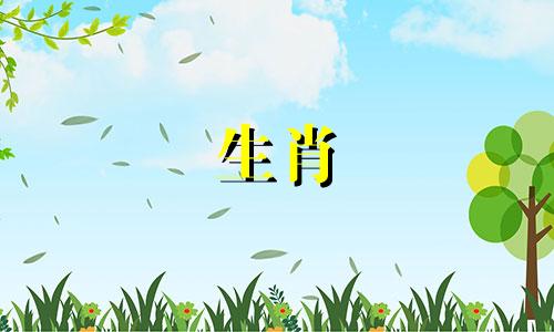 恋爱中的狗是什么感觉