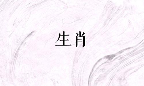 1997年这头牛的生活是怎样的?97年的水是生命吗?