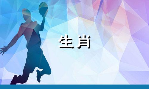 如何在94年娶一个爱狗的女孩