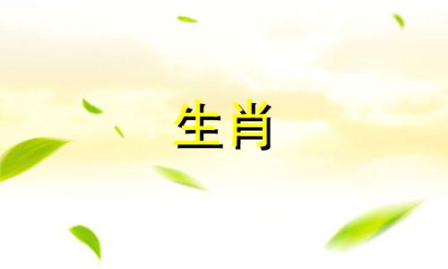 兔女和属龙男结婚了吗?