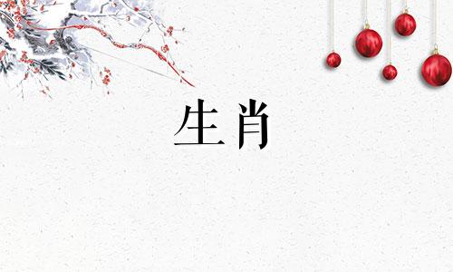 一个猪女人和一个属龙男人?