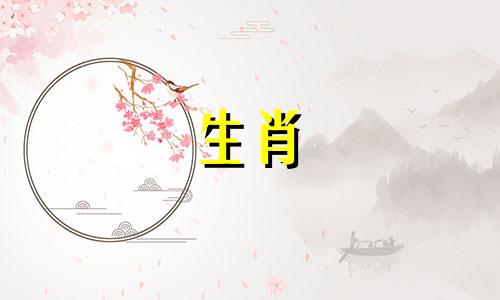 狗想说什么作为一种情感体验