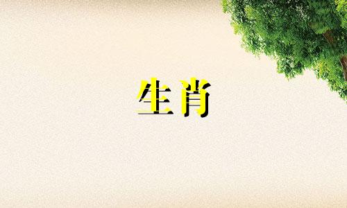 属鼠女人和兔子男人结婚了吗?