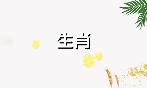 狗的第一眼是什么反应