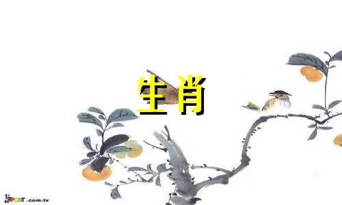 属牛的女人会嫁给属鸡的男人吗?