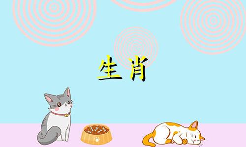 一只狗欺骗了一个玩弄女人的男人败类一个女人背叛了她的感情