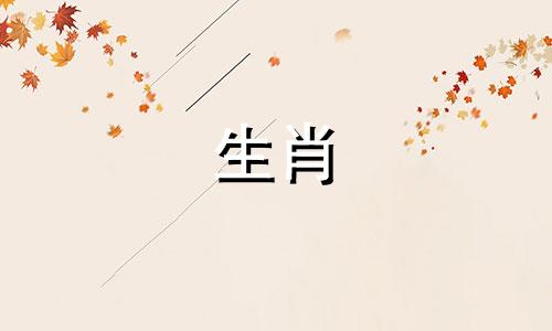 一个兔子女人和一个狗男人?