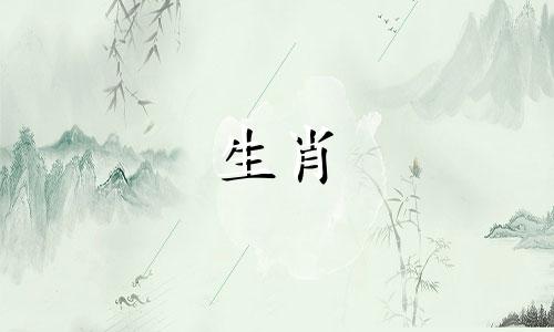 一个猪女人和一个羊男人?