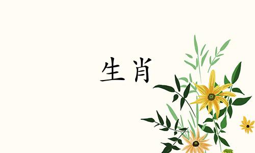 “鸡男”想怎么和女生过七夕节