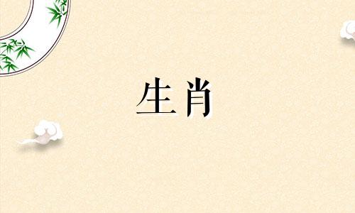 小鸡男孩婚前不成熟行为