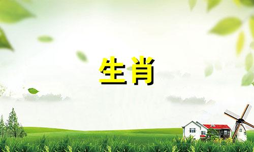 公鸡多久才会厌倦爱情