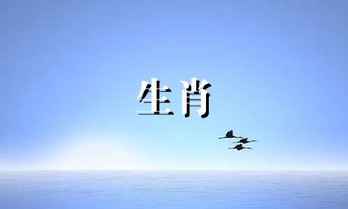 买狗者的禁忌楼层是什么?