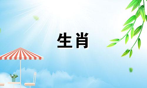 小鸡谈恋爱情商不高怎么办