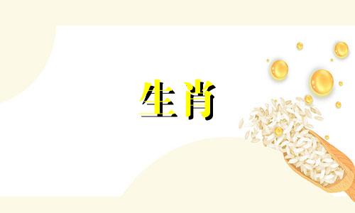 恋爱中的狗的情感内心戏