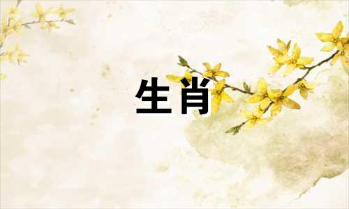 为什么小鸡男孩永远不会忘记他们的初恋