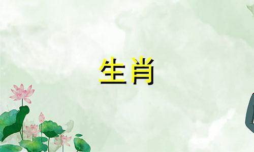 如果你已经有了男朋友，如何应对追求者