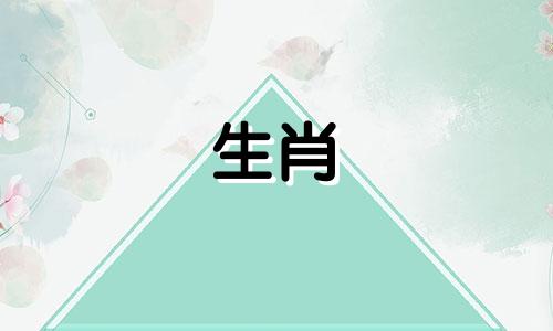 公鸡能从婚姻中学到什么